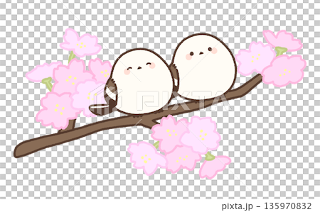 Two long-tailed tits perched on a long cherry tree branch 135970832