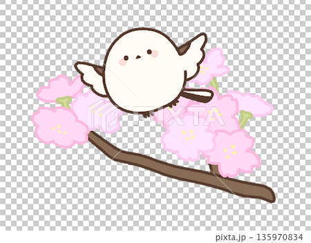Short cherry blossom branches and a flapping long-tailed tit Short cherry blossom branches and a flapping long-tailed tit 135970834