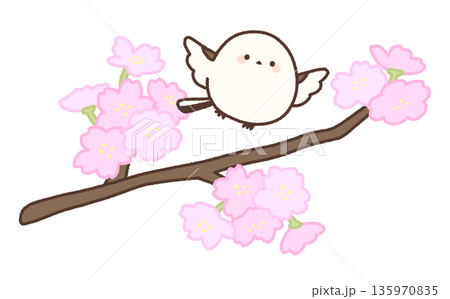 長い桜の枝と羽ばたくシマエナガ 135970835