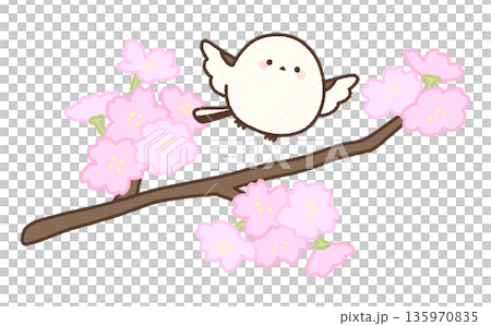 長い桜の枝と羽ばたくシマエナガ 135970835