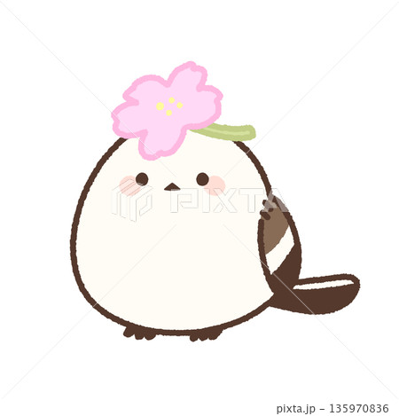 桜の花を頭にのせたシマエナガ 135970836