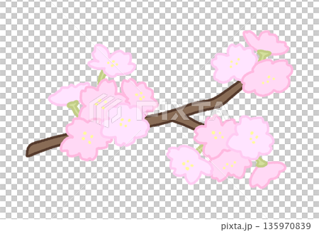 長長的櫻花枝裝飾插圖 135970839