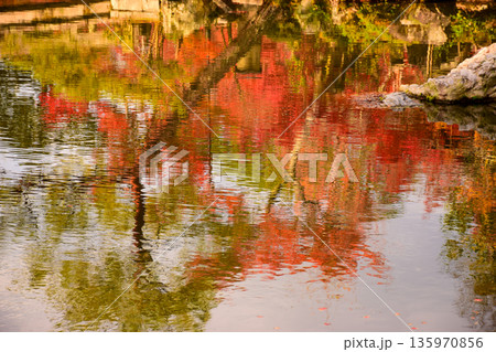 京都府 永観堂禅林寺の紅葉 水面に反射した紅葉のイメージ 京都府 永観堂禅林寺の紅葉 水面に反射した紅葉のイメージ 135970856