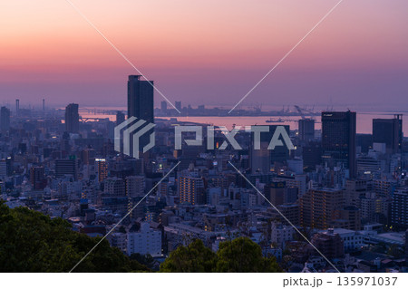 《兵庫県》神戸ビーナスブリッジ・諏訪山公園展望台の夜明け 135971037