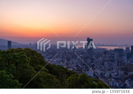 《兵庫県》神戸ビーナスブリッジ・諏訪山公園展望台の夜明け 135971038