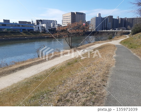川沿いの道　道　道路　川の景色 135971039