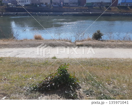 川の景色 川の風景 川の景色 川の風景 135971041