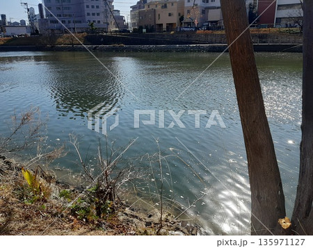 水面の景色 川の景色 綺麗な川 水面の景色 川の景色 綺麗な川 135971127