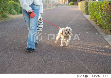 散歩する犬 散歩する犬 135971147