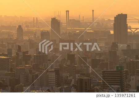 《兵庫県》神戸ビーナスブリッジ・諏訪山公園展望台の夜明け 135971261