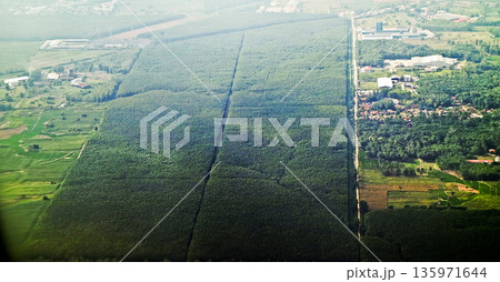 view from the sky of the rice fields 135971644