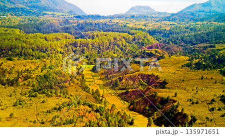 view from the sky of the rice fields view from the sky of the rice fields 135971651