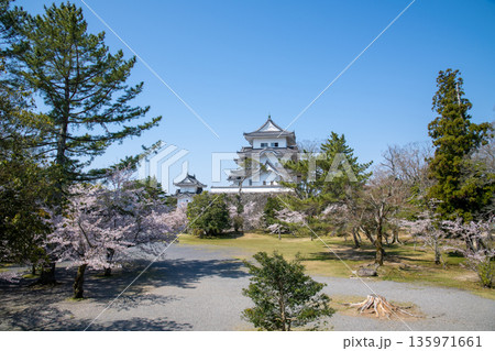 三重県　伊賀市　満開の桜と伊賀上野城 135971661
