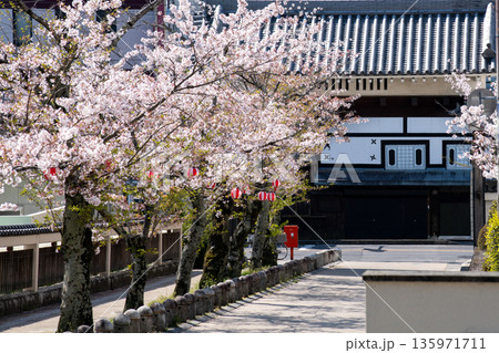 三重県 伊賀市 満開の桜と伊賀上野城・白鳳門 三重県 伊賀市 満開の桜と伊賀上野城・白鳳門 135971711