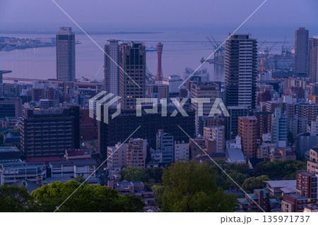 《兵庫県》神戸ビーナスブリッジ・諏訪山公園展望台の夜明け前の夜景 135971737