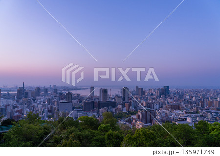 《兵庫県》神戸ビーナスブリッジ・諏訪山公園展望台の夜明け前の夜景 135971739