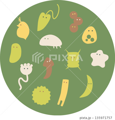 かわいい微生物イラスト・グリーン 135971757
