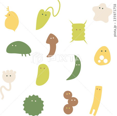 かわいい微生物イラスト・白バック 135971758