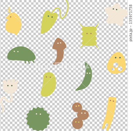 かわいい微生物イラスト・白バック 135971758
