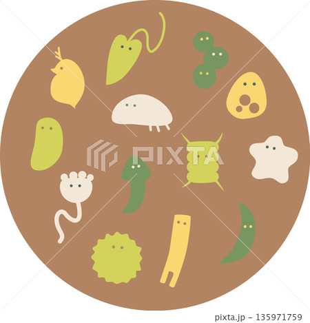 かわいい微生物イラスト・茶色 135971759
