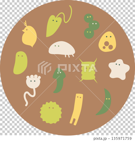 かわいい微生物イラスト・茶色 135971759