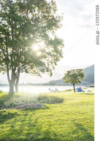 木漏れ日が差し込む公園 135972066