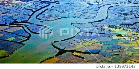 view from the sky of shrimp and fish ponds view from the sky of shrimp and fish ponds 135972148