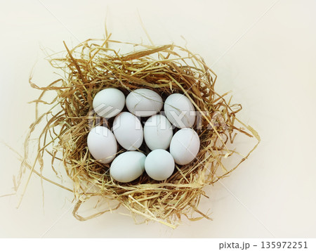 Duck eggs in a straw nest on a white background. Duck eggs in a straw nest on a white background. 135972251