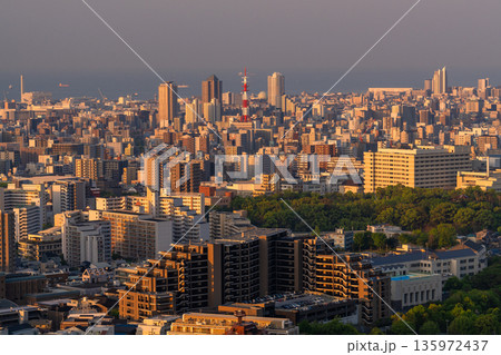 《兵庫県》神戸ビーナスブリッジ・諏訪山公園展望台の夜明け 135972437