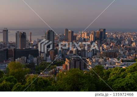 《兵庫県》神戸ビーナスブリッジ・諏訪山公園展望台の夜明け 135972466