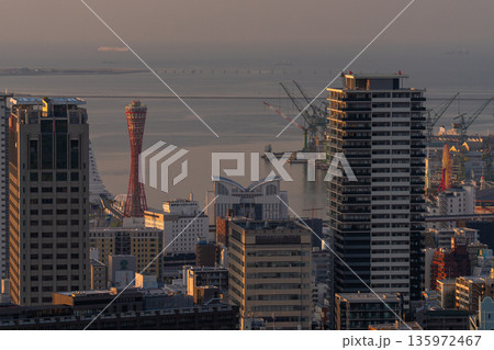 《兵庫県》神戸ビーナスブリッジ・諏訪山公園展望台の夜明け 《兵庫県》神戸ビーナスブリッジ・諏訪山公園展望台の夜明け 135972467