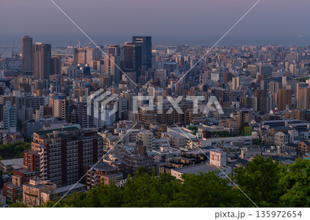 《兵庫県》神戸ビーナスブリッジ・諏訪山公園展望台の夜明け 135972654