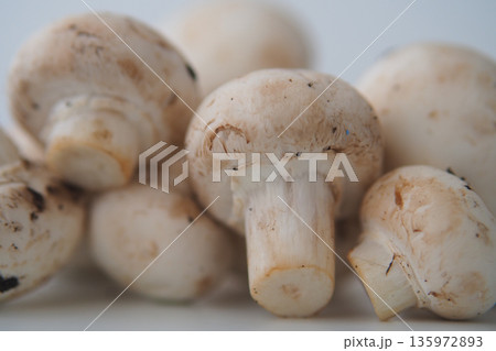 Mushrooms grouped together on a plain background Mushrooms grouped together on a plain background 135972893