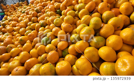 Fresh oranges stacked in a market for sale Fresh oranges stacked in a market for sale 135972939