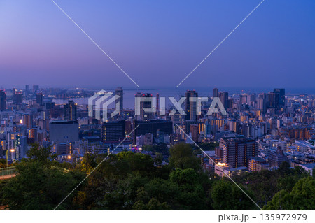《兵庫県》神戸ビーナスブリッジ・諏訪山公園展望台の夜明け前の夜景 135972979