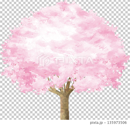 満開の桜の木の手描き水彩イラスト　お花見や入学祝い　和風ベクター素材 135973506