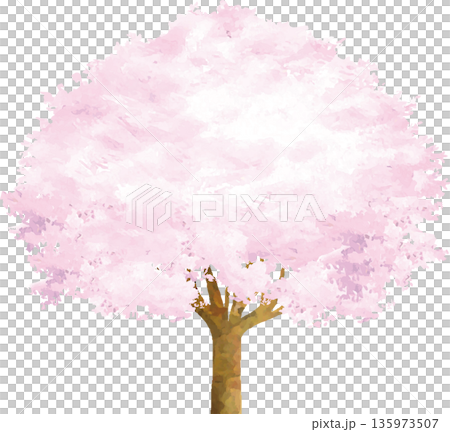 満開の桜の木の手描き水彩イラスト　お花見や入学祝い　和風ベクター素材 135973507