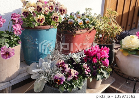 玄関先の花の寄せ植え＆寄せ鉢 135973562