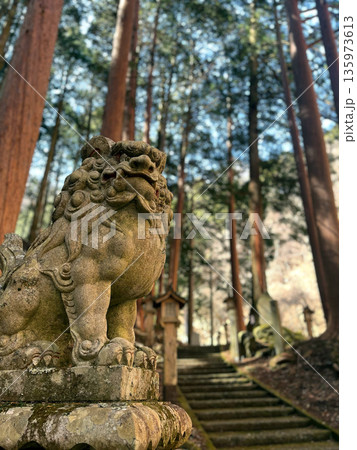 神秘的な神社の境内に佇む阿形の狛犬　二 135973613