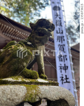 神秘的な神社の境内に佇む苔むした狛犬 135973615