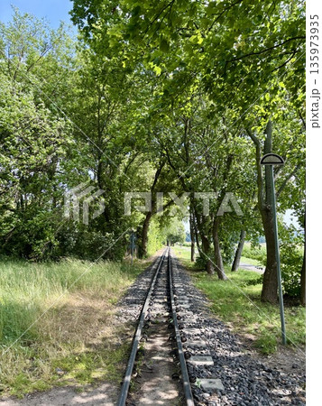 新緑の中の線路は続く 新緑の中の線路は続く 135973935