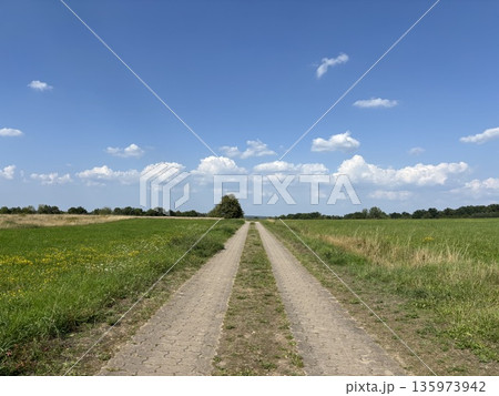 どこまでも続くまっすぐな田舎道 135973942