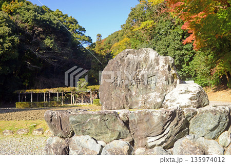三重県伊勢市猿田彦神社の御神田 135974012