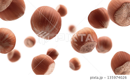 Ripe hazelnuts levitate on a white background Ripe hazelnuts levitate on a white background 135974026