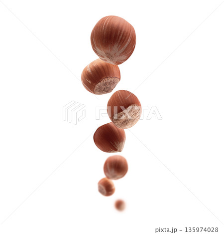 Ripe hazelnuts levitate on a white background Ripe hazelnuts levitate on a white background 135974028