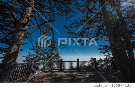 Breathtaking viewpoint on a wooden deck overlooking a majestic sea of clouds and alpine pine forest under a clear blue sky. Perfect for travel and nature concepts Breathtaking viewpoint on a wooden deck overlooking a majestic sea of clouds and alpine pine forest under a clear blue sky. Perfect for travel and nature concepts 135974126