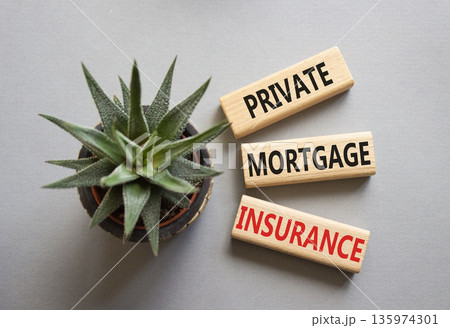 Private Mortgage Insurance symbol. Wooden blocks with words Private Mortgage Insurance. Beautiful grey background with succulent plant. Business concept. Copy space. Private Mortgage Insurance symbol. Wooden blocks with words Private Mortgage Insurance. Beautiful grey background with succulent plant. Business concept. Copy space. 135974301