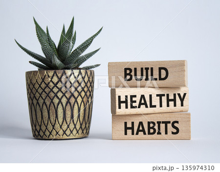 Healthy habits symbol. Concept word Build Healthy habits on wooden blocks with succulent. Beautiful white background. Healthy lifestyle and Healthy habits concept. Copy space 135974310