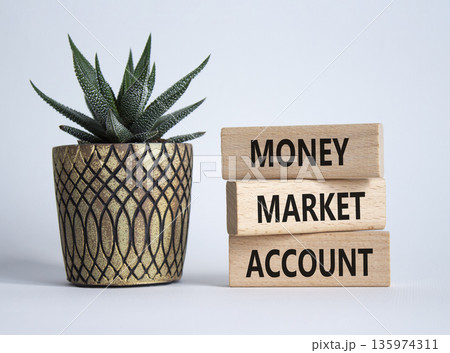 Money Market Account symbol. Wooden blocks with words Money Market Account. Beautiful white background with succulent plant. Business concept. Copy space. 135974311