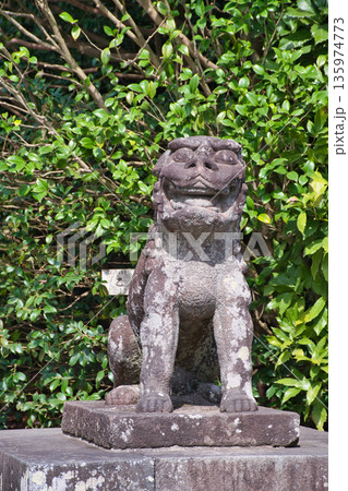 鶴岡八幡宮の狛犬（神奈川県鎌倉市） 135974773